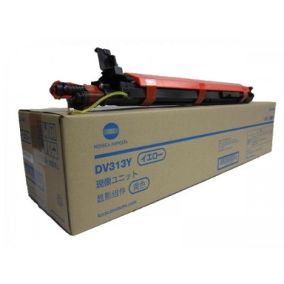 dv-313y
