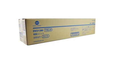 dv-313m