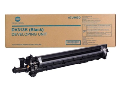 dv-313k